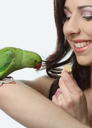 Frau füttert Vogel